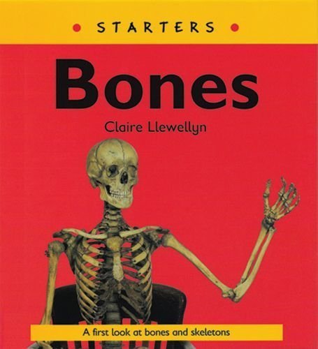 Starters: Bones by Llewellyn, Claire (2007) Paperback