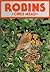 Robins (British Natural History Series) by Chris Mead by Chris Mead