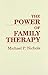 The Power of Family Therapy by Michael P. Nichols (1992-12-31)