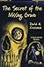 The Secret of the Missing Grave (Bean and Ab Mysteries (Paperback)) by David Crossman (1999-01-01)