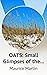 OATS: Small Glimpses of the...