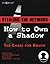 Stealing the Network: How to Own a Shadow Paperback Illustrated, February 1, 2007