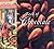 Book Of Chocolate by Perrier-Robert, Anne (2005) Hardcover by Anne Perrier-Robert
