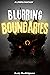 Blurring Boundaries: A LitRPG Fantasy