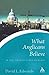 What Anglicans Believe in the Twenty-first Century (Continuum Icons Series) by David Edwards (10-Jan-2004) Paperback