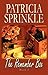 The Remember Box by Patricia Sprinkle (2008-06-09)