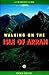 Walking in the Isle of Arran (Cicerone British Mountains) by Paddy Dillon (1998-07-25)