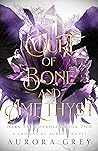 Court of Bone and Amethyst (Dark Fae Guardian, #2) Court of Bone and Amethyst (Dark Fae Guardian, #2)