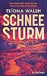 Schneesturm