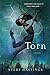 Torn: A Novel (The Feuds Series) by Avery Hastings (2015-07-21)