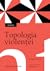 Topologia violenței