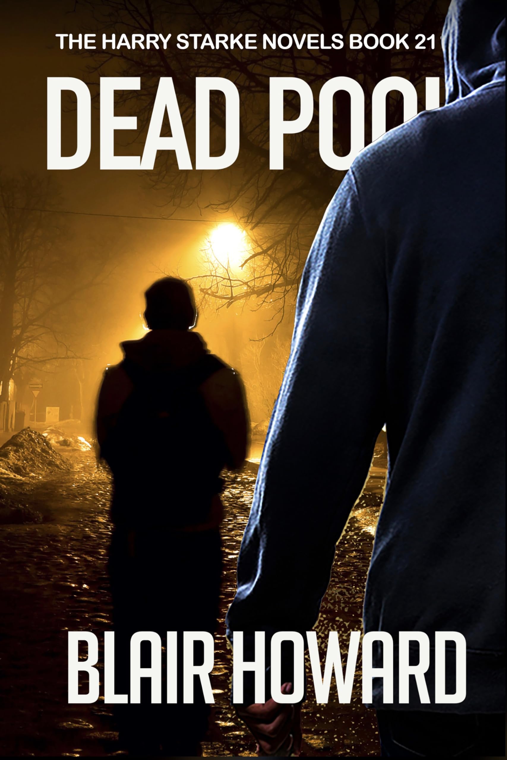 Dead Pool: The Harry Starke Novels Book 21 (Kindle Edition)