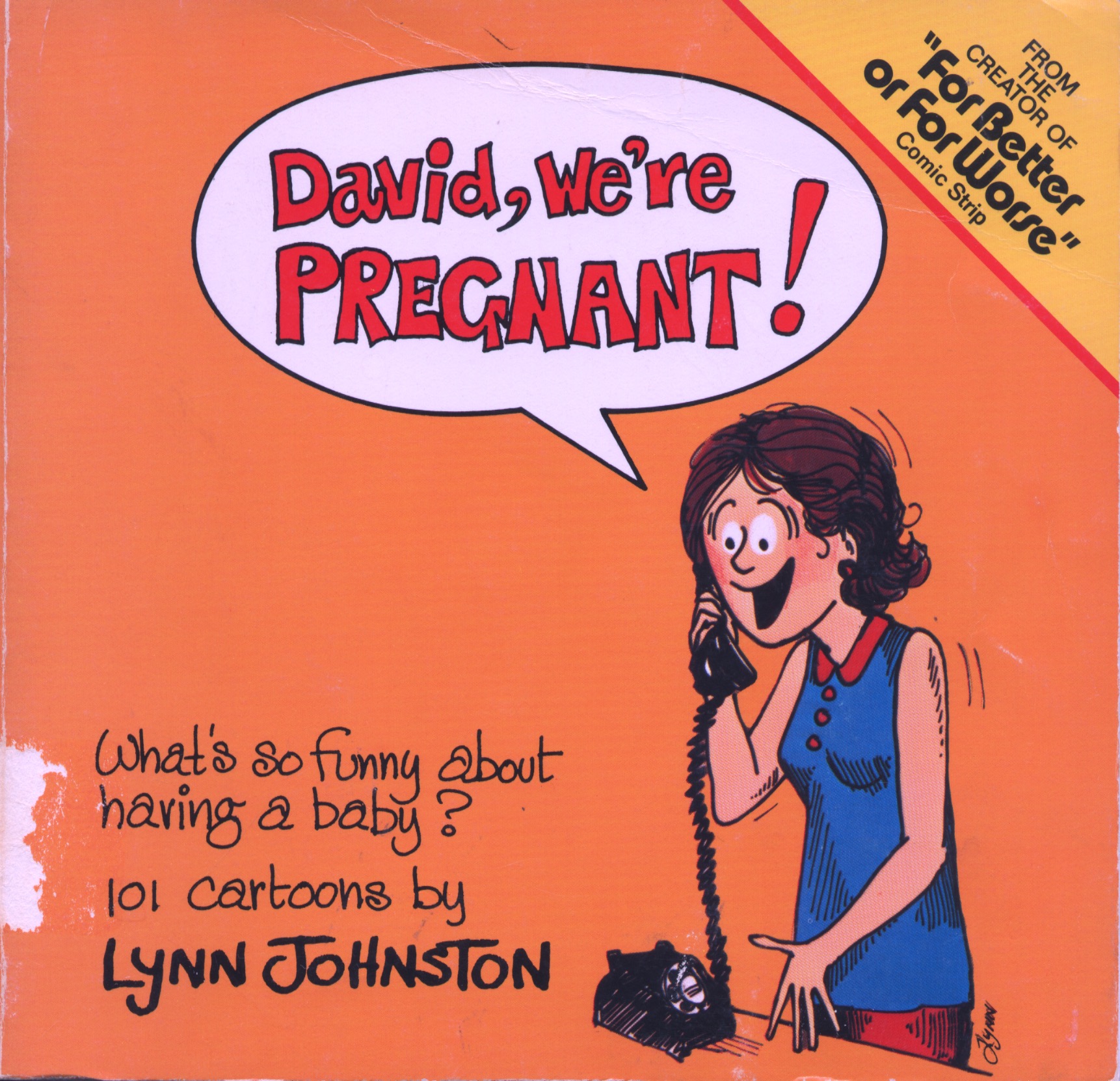 David, We're Pregnant! 101 Cartoons for Expecting Parents
