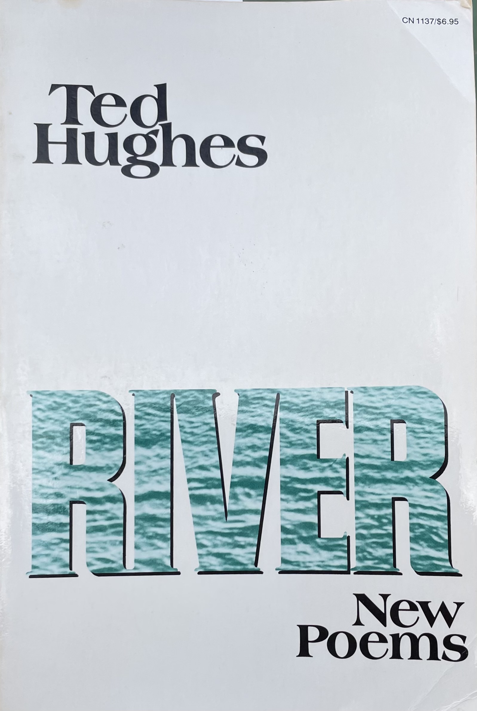 River (Paperback)