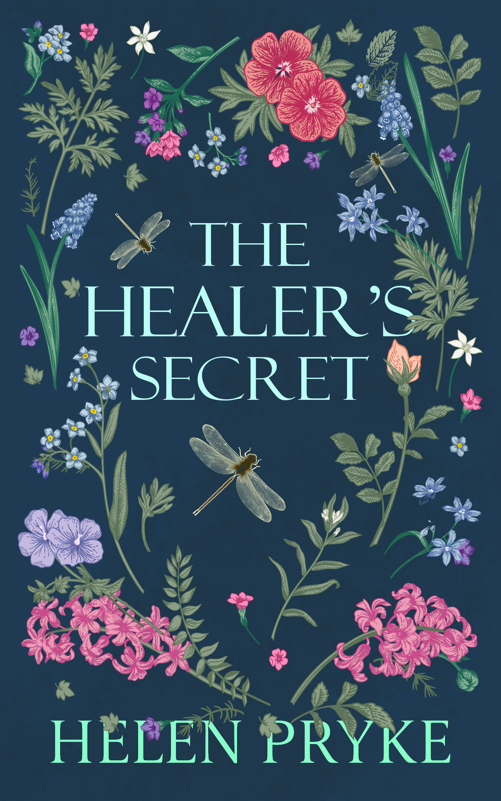 The Healer's Secret (The Healer Saga Book 1)