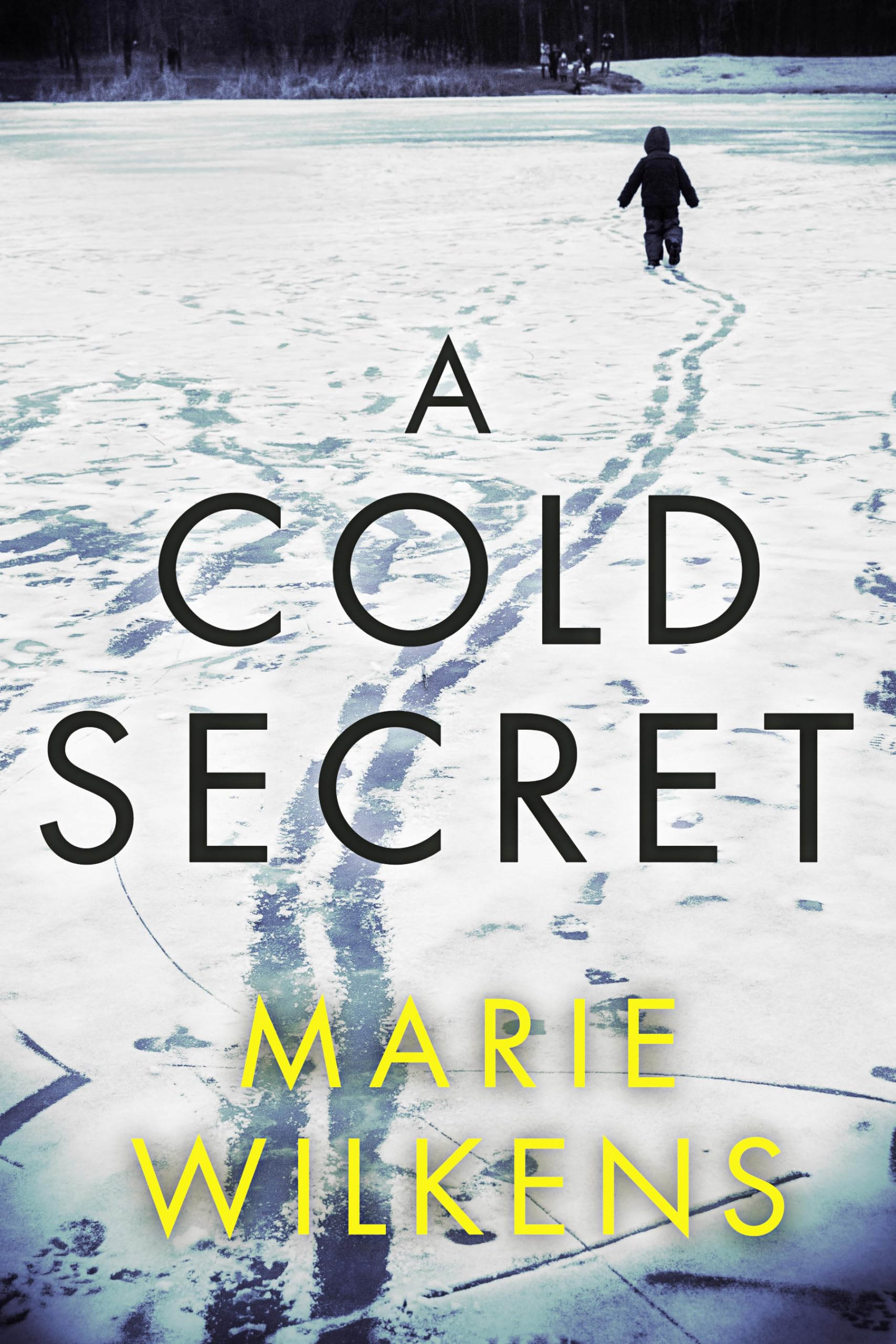 A Cold Secret (A Riveting Kidnapping Mystery #58)