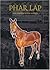 Phar Lap by Geoff Armstrong (2002-05-01)