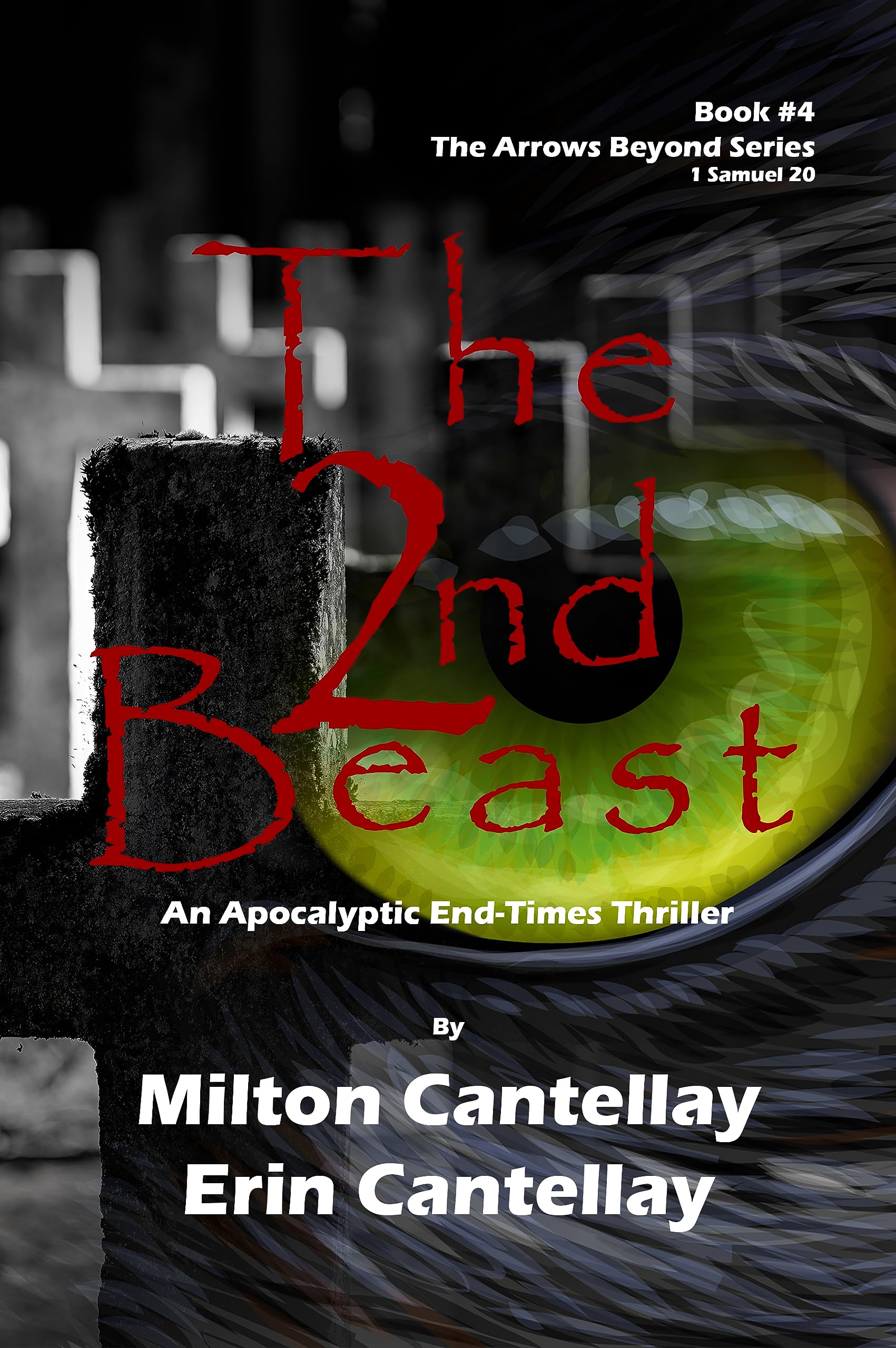 The 2nd Beast: An Apocalyptic End-Times Thriller (The Arrows Beyond Book 4)