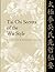 Tai Chi Secrets of the Wu Style: Chinese Classics, Translations, Commentary by Jwing-Ming, Yang (March 13, 2002) Paperback