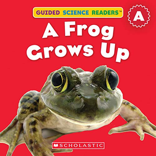A Frog Grows up (Paperback)