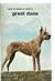 Great Dane (How to Raise & Train)