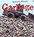 Garbage by Robert Maass (1-May-2000) Hardcover