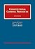 By Andrew Taslitz - Constitutional Criminal Procedure (University Casebook Series) (5th Edition) (2014-07-12) [Hardcover]