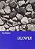 Slowly by Hejinian, Lyn (May 29, 2002) Paperback