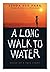 A Long Walk to Water by Linda Sue Park