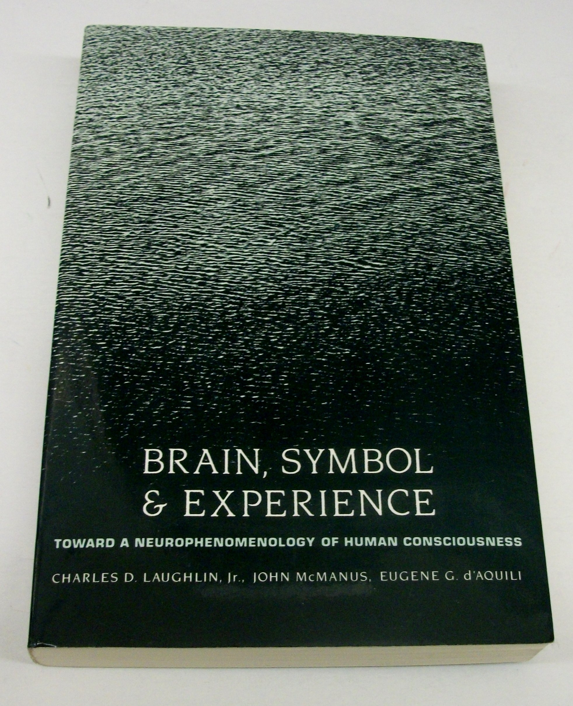 Brain, Symbol & Experience: Towards a Neurophenomenology of Human Consciousness (Paperback)