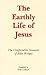 The Earthly Life of Jesus by Ken Lebrun
