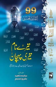 TERE NAAM TERI PEHCHAN تیرے نام تیری پہچان (Paperback)