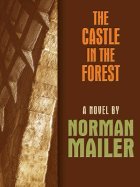 The Castle in the Forest