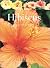 Hibiscus by Jacqueline Walker (2001-03-03)
