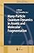 Many-Particle Quantum Dynamics in Atomic and Molecular Fragmentation (Springer Series on Atomic, Optical, and Plasma Physics) (2011-09-22)