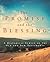 By Michael A. Harbin - The Promise and the Blessing: A Historical Survey of the Old and New Testaments (3/27/05)