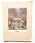 Shelter (1st Edition) Paperback 1973 by Lloyd Kahn (Editor) Shelter (1st Edition) Paperback 1973 by Lloyd Kahn (Editor)