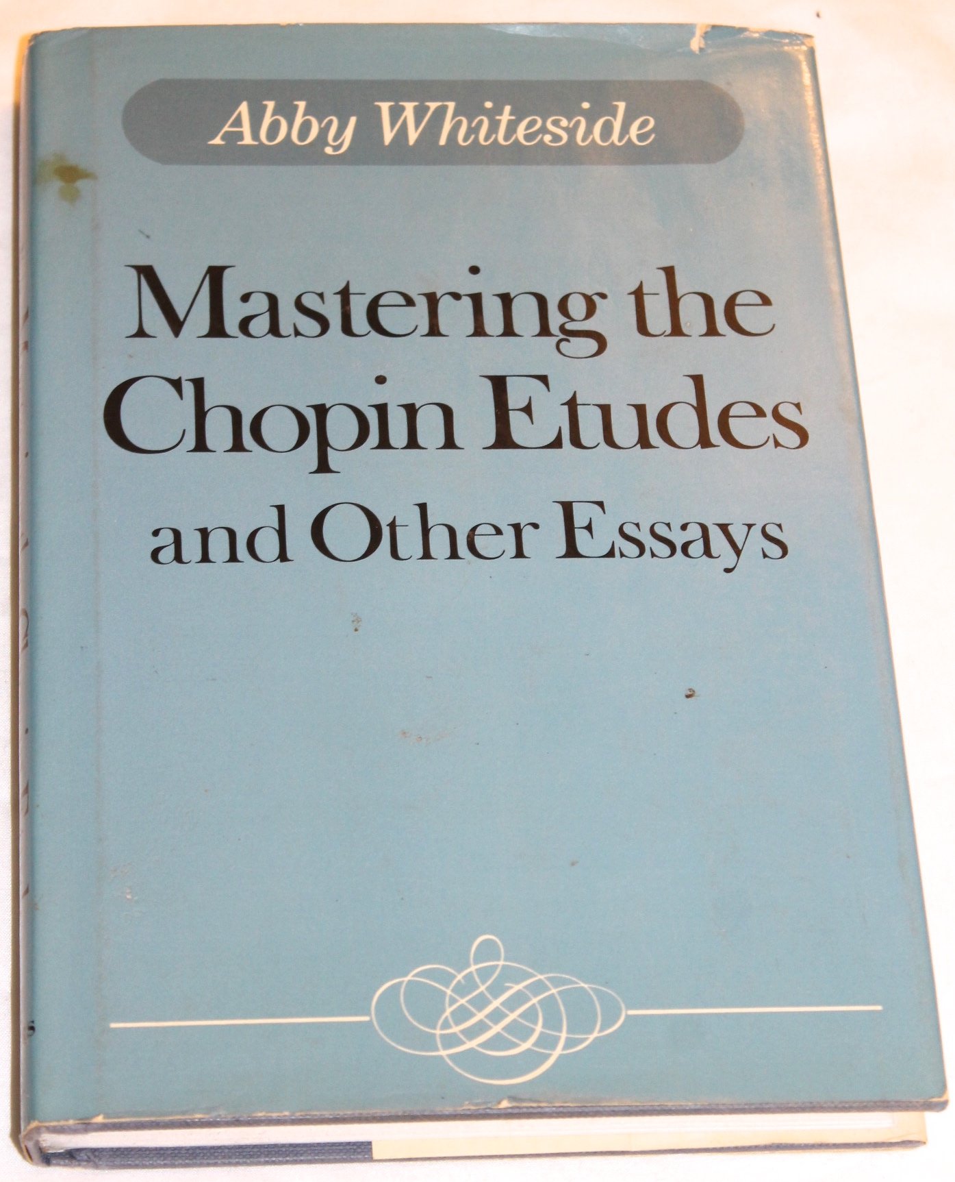 Mastering the Chopin Etudes and Other Essays (Hardcover)