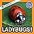 Ladybugs!: A My Incredible ...