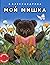 Moy mishka
