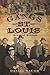 Gangs of St. Louis: Men of Respect by Daniel Waugh (2010-04-02)