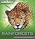Rainforests (Navigators)