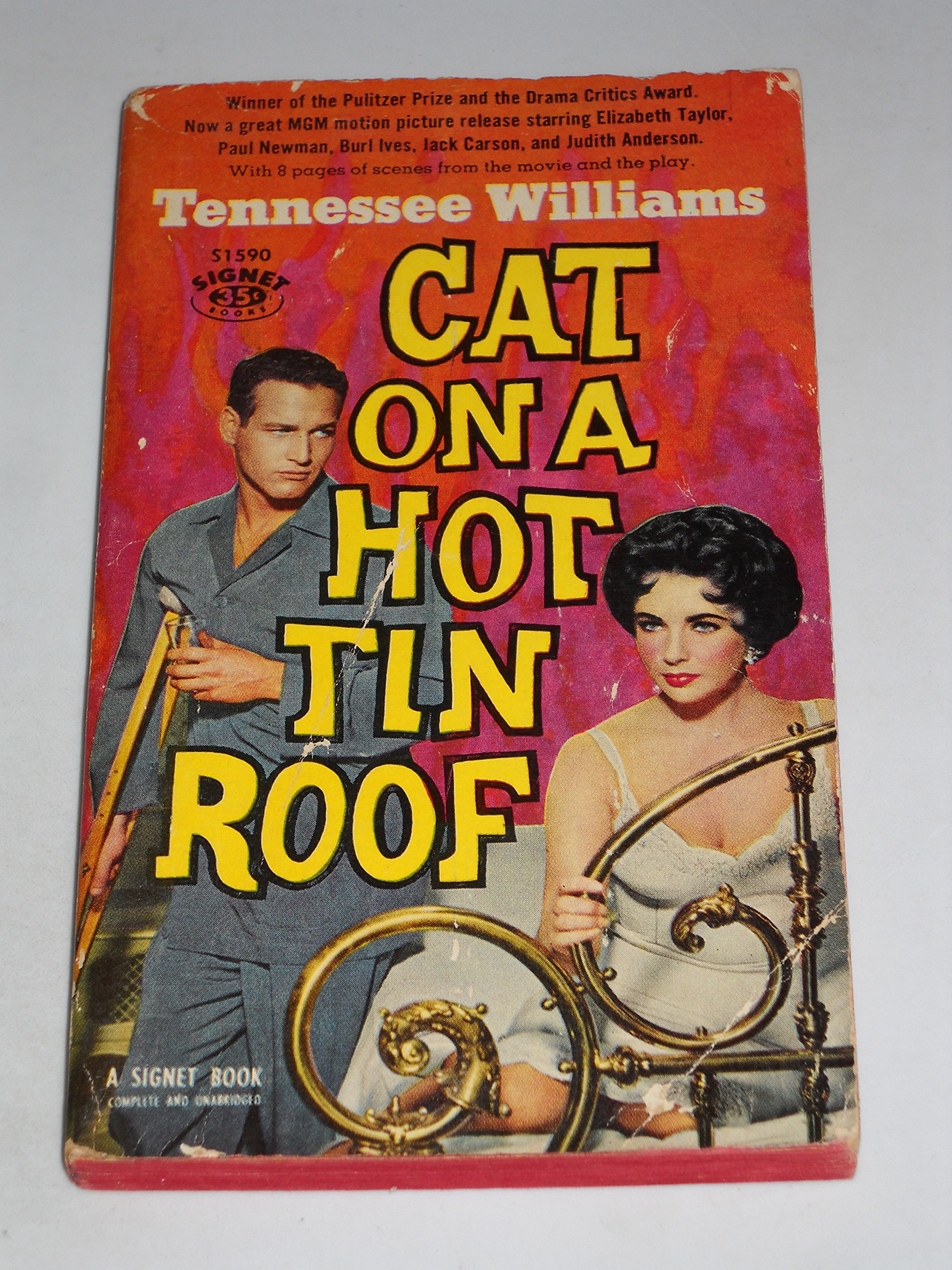 Cat on a Hot Tin Roof