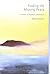 Finding the Missing Peace: A Primer of Buddhist Meditation