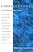 Undercurrents: A Therapist's Reckoning with Her Own Depression by Manning, Martha (1996) Paperback