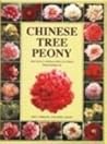 Chinese Tree Peony Chinese Tree Peony