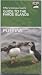 Puffins by JENS KJELD JENSEN Puffins by JENS KJELD JENSEN