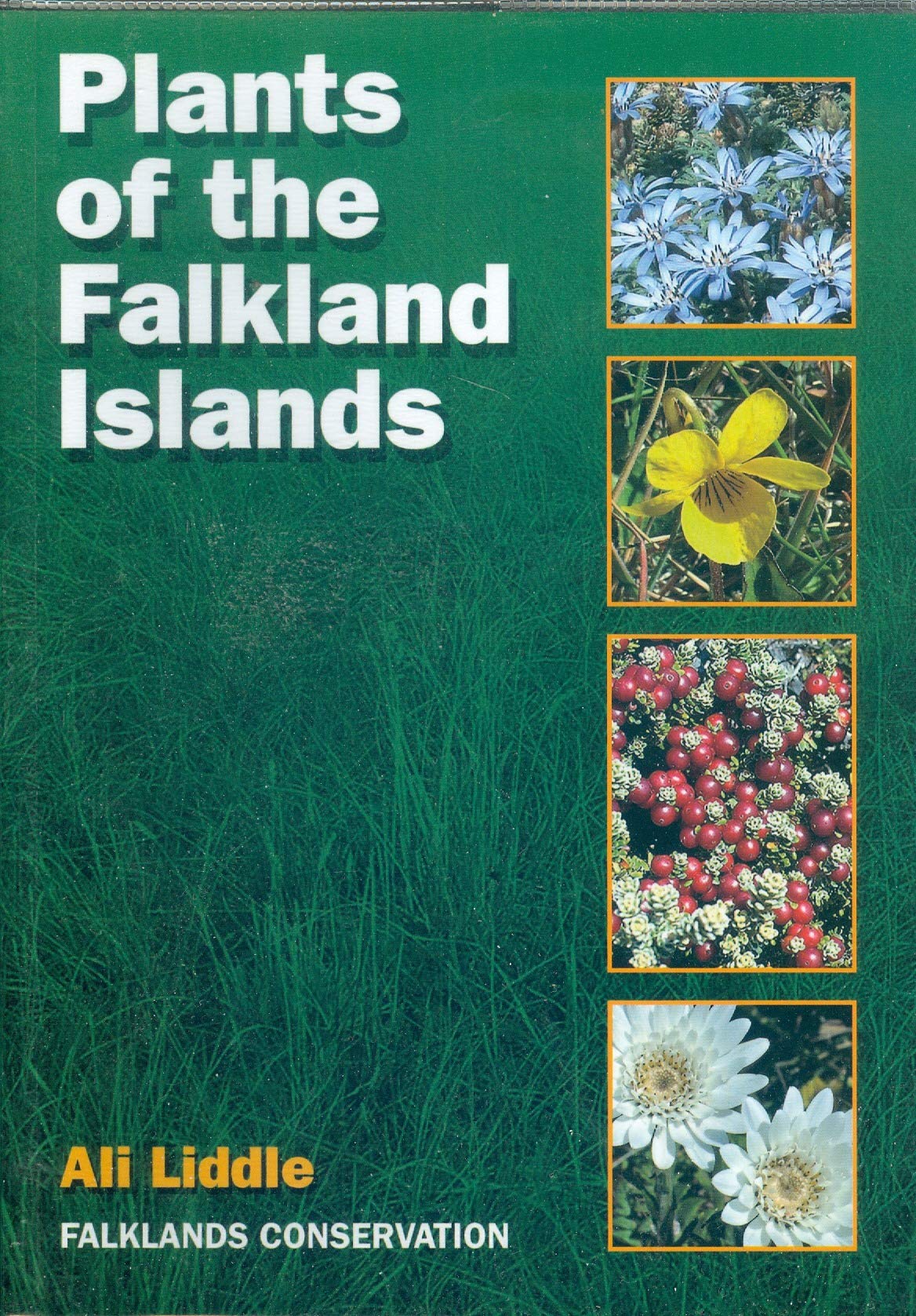Plants of the Falkland Islands (Paperback)