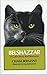 Belshazzar: A cat's story for humans