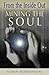 Mining the Soul: From the Inside Out (Jung on the Hudson Book) by Robin Robertson (2000-12-31)
